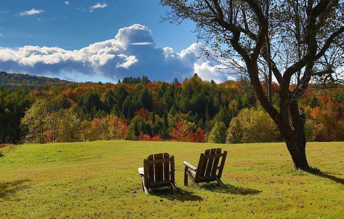 Image of a field in Morrisville, VT near the Muddy Moose cabin homes